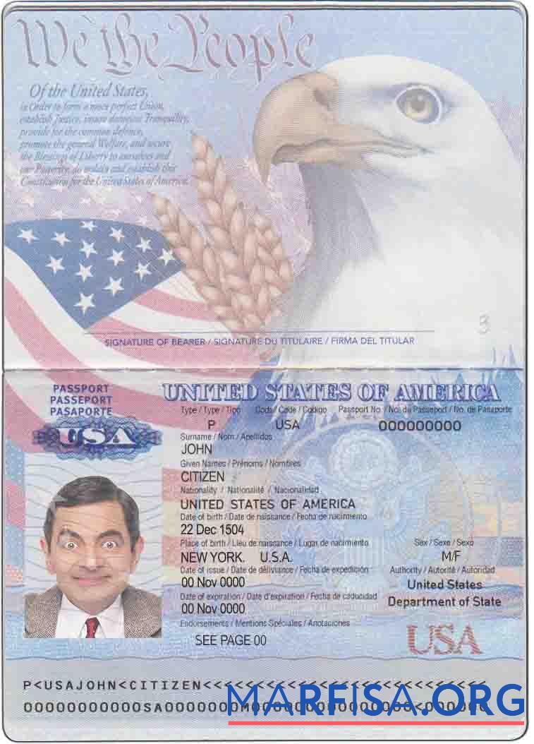 Realistic USA passport 2007 2022 example